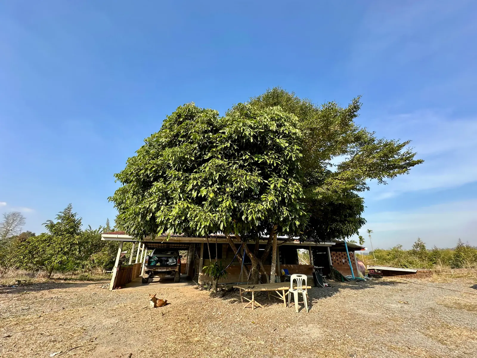 รูปที่ 4
